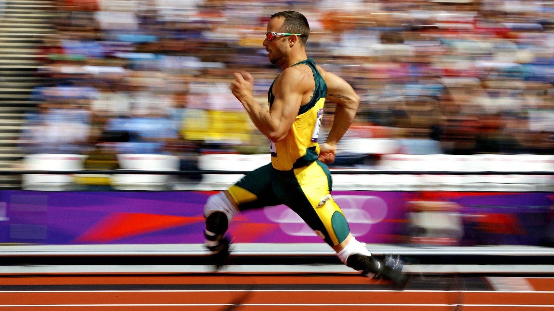 包含科维托娃重要时刻战术调整,雄鹿带队取胜!全场沸腾不已的词条